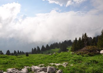 Neutralité carbone : les logiciels SaaS, nouveaux supports de réduction de votre impact CO2